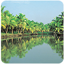 Gujrat tour packages